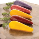 Carota 20 Silikomart stampo silicone giallo 12 preparazioni carota, linea Naturae