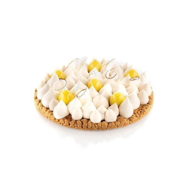 Tarte ring round ø19xh2 cm Silikomart anello tondo microforato per crostate in termoplastica