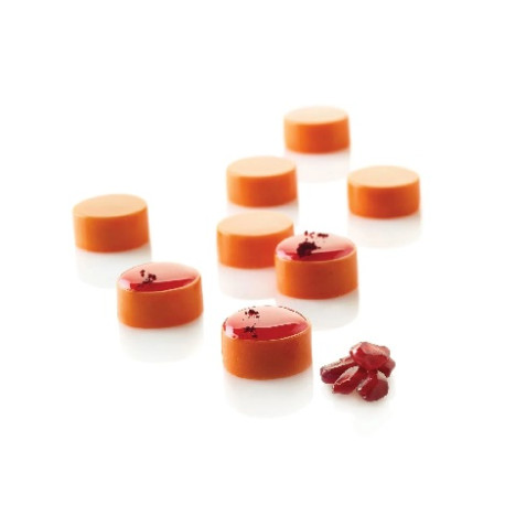 Micro round 5 Silikomart stampo silicone 35 micro cilindri da 24 x h 12 mm Micro round 5 Silikomart stampo silicone 35 micro cilindri da 24 x h 12 mm