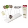 Stampo Sfera Cake Pops in silicone con Vassoio e Bastoncini 28 mm Stampo Sfera Cake Pops in silicone con Vassoio e Bastoncini 28 mm