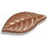 Stampo fogliolina 3 g: stampo cioccolato in policarbonato per 24 foglie cioccolatini a foglia da 5 cm Stampo fogliolina 3 g: stampo cioccolato in policarbonato per 24 foglie cioccolatini a foglia da 5 cm
