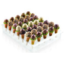 Espogel Up Mini Trasparente Silikomart: vassoio espositore per gelati su stecco per CakePops, EasyPop e finger mini su stecco
