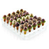 Espogel Up Mini Trasparente Silikomart: vassoio espositore per gelati su stecco per CakePops, EasyPop e finger mini su stecco Espogel Up Mini Trasparente Silikomart: vassoio espositore per gelati su stecco per CakePops, EasyPop e finger mini su stecco