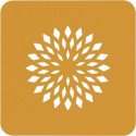 Stencil fiore di loto Silikomart: stampo in silicone giallo per decori a forma di fiore di loto ⌀100 h 1 mm - set 2 pz