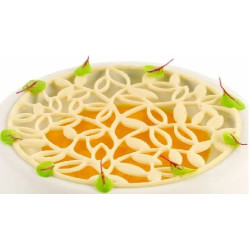 Stampo in Silicone Esotico – 2 Cavità – Silikomart Professional – Colore Giallo