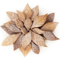 Voila' Cookie Leaves Silikomart: tagliapasta e stampo in T-Plus+ a forma di foglie da 24x15xh2 cm