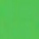 Colorante Alimentare in Gel Verde Silikomart i78 (15g) – Per Pasta di Zucchero, Creme e Glassa a Specchio