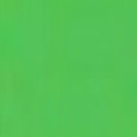 Gel Color Green Silikomart colorante in gel verde tubetto da 15 g