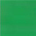 5  o 25 g Idro Color Green Silikomart colorante idrosolubile in polvere verde