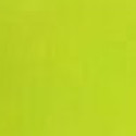 Colorante Alimentare Liposolubile Verde Decora (15g) | Ideale per Cioccolato, Panna e Creme Grasse