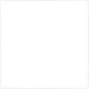 Colorante liposolubile liquido bianco Decora 15 g