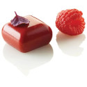 Micro Gem 5 Silikomart stampo silicone 35 micro gemme 5 ml di 23x23xh13 mm
