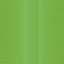 100 o 300 g Stampi crostatine in carta forno verde 5 pz tondi di ø10 o ø15,5 cm