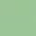 Piccole Nuance Verde Salvia lenti al cioccolato al latte confetti verdi Maxtris 1 Kg