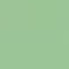 Maxtris Piccole Nuance Verde Salvia: 1 Kg di confetti verdi con cioccolato al latte a forma di lente Maxtris Piccole Nuance Verde Salvia: 1 Kg di confetti verdi con cioccolato al latte a forma di lente
