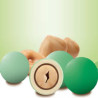 Les Noisettes sfumate verde Maxtris: 1 Kg di confetti con nocciola ideali per confettata Les Noisettes sfumate verde Maxtris: 1 Kg di confetti con nocciola ideali per confettata