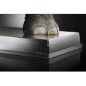Total i-gloo trasparente 60x40 cm Silikomart: espositore per gelati e monoporzioni