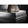 Total i-gloo trasparente 60x40 cm Silikomart: espositore per gelati e monoporzioni Total i-gloo trasparente 60x40 cm Silikomart: espositore per gelati e monoporzioni