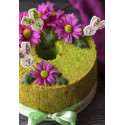 Tortiera chiffon cake di ø17,5 o ø25 cm da Decora: stampo per cottura in alluminio anodizzato
