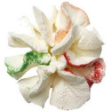 Bocchetta numero 39 o cornetto speciale frosting piccolo in acciaio inox da Decora