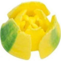 Bocchetta 3D n 244 Cornetto Tulipano a 6 petali per fiori 3D diretti in acciaio inox da Decora