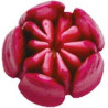 Bocchetta diretta 3D n 241 Cornetto Tulipano per fiori 3D diretti in acciaio inox da Decora