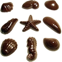 Cioccolatini frutti di mare: stampo in policarbonato 18 cavità in 9 forme assortite per un totale di 100 g