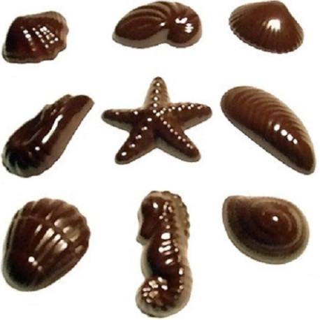 Cioccolatini frutti di mare: stampo in policarbonato 18 cavità in 9 forme assortite per un totale di 100 g Cioccolatini frutti di mare: stampo in policarbonato 18 cavità in 9 forme assortite per un totale di 100 g