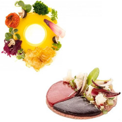 Stampo in Silicone Cerchio 3.0/4.0 – 9 Cavità Anelli e Spicchi – Silikomart Professional – Colore Giallo