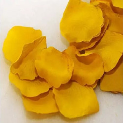 Petali Finti Gialli in stoffa e confezione da g 15 per decorazione ed addobbi