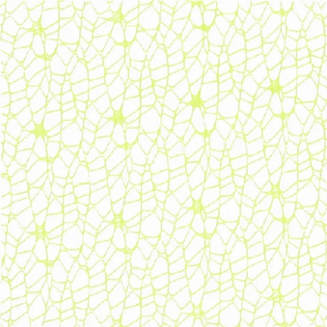 Confezione da 20 veli in Polycotton verdino di forma quadrata di 24x24 cm