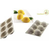 Delizia al Limone Silikomart stampo silicone 6 monoporzioni 8,5x5,9xh4,2 cm