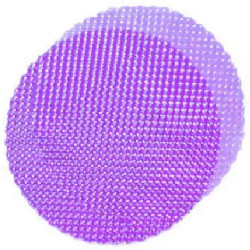 50 Veli Tulle Orlato color Lilla diametro 24 cm con piccoli pois bianchi