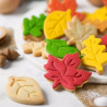 Set 3 taglia-biscotti foglie autunnali miste in plastica da Decora