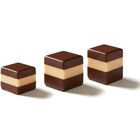 Stampi Cioccolato Cremino in Policarbonato Professionale – Formati 7g, 9g e 10g