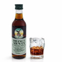 Branca Menta Mignon 5cl 28% – Amaro alle Erbe e Menta Piperita in Bottiglia di Vetro