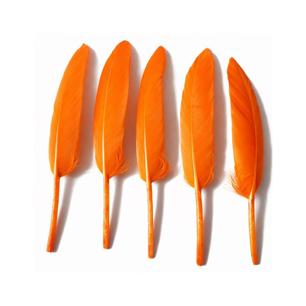 20 Piume d’Oca Arancioni 8–15 cm – Decorazioni Eleganti per Party e Feste