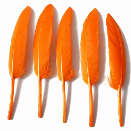 20 Piume d’Oca Arancioni 8–15 cm – Decorazioni Eleganti per Party e Feste