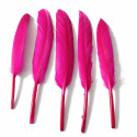 20 Piume d’Oca Fucsia 8–15 cm – Decorazioni Eleganti per Party e Feste