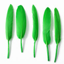 20 Piume d’Oca Verde Bosco 8–15 cm – Decorazioni Eleganti per Party e Feste
