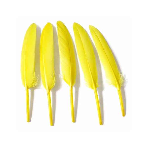 20 Piume d’Oca Gialle 8–15 cm – Decorazioni Eleganti per Party e Feste
