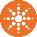 Colorante Alimentare Spray Arancione Vellutato (250ml) | Via delle Arti (Velly Orange)