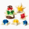 Stampo Stella Decora – Policarbonato Professionale per 10 Cioccolatini Componibili in Figure 3D