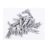 Mollettina in legno cm 3 colore argento pz 24 Mollettina in legno cm 3 colore argento pz 24