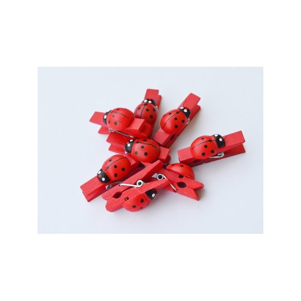 36 Mollette Di Legno A Forma Di Coccinella Per Bomboniere, Compleanni E Lauree | Set Regalo Fai Da Te