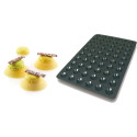 Stampo sessantaquaranta 60 Mini Tartellette diametro 4,4 cm altezza 1 cm in silicone da Silikomart