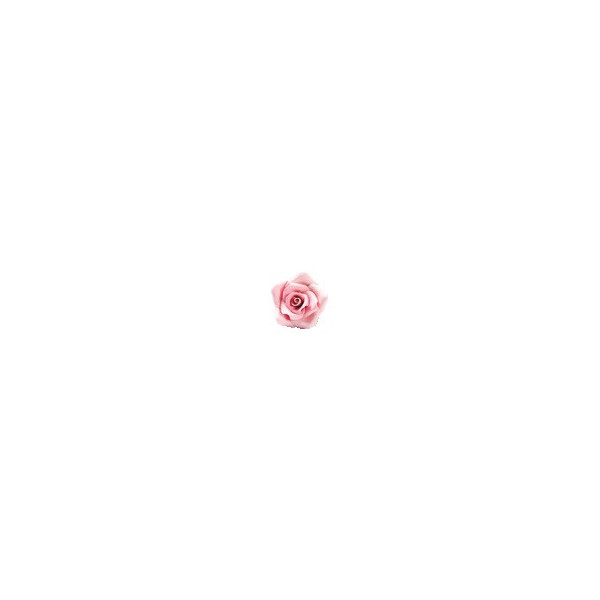 Decorazioni in Zucchero Rose color Rosa piccole da Decora