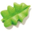 Set 12 decorazioni in zucchero a forma di foglioline di colore verde da Decora