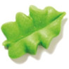 Set 12 decorazioni in zucchero a forma di foglioline di colore verde da Decora Set 12 decorazioni in zucchero a forma di foglioline di colore verde da Decora