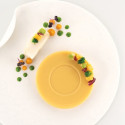 Piatto 80 Silikomart stampo silicone giallo 6 preparazioni piattino o piatto piano, linea Naturae